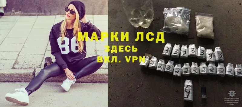 кракен ССЫЛКА  купить наркоту  Каменногорск  Лсд 25 экстази ecstasy 